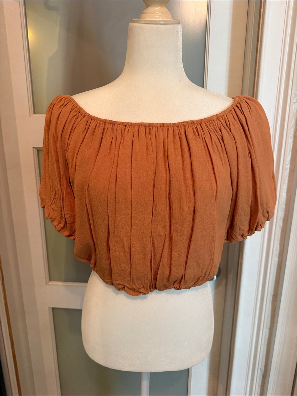 Rust Off-Shoulder Elastic Hem Crop Top